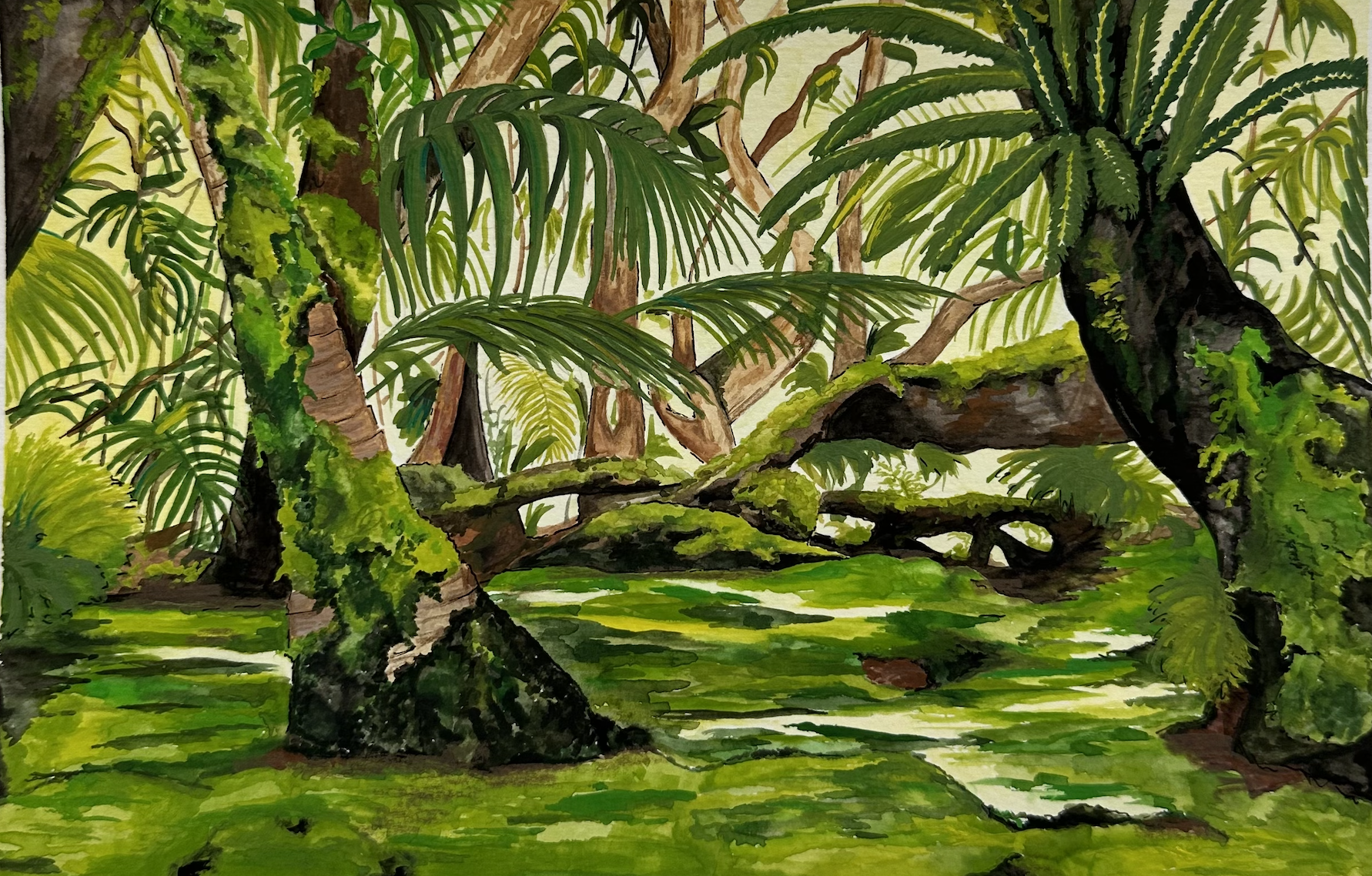 A watercolor painting of a lush green cloud-forest with trees, moss-covered rocks, and dense foliage.