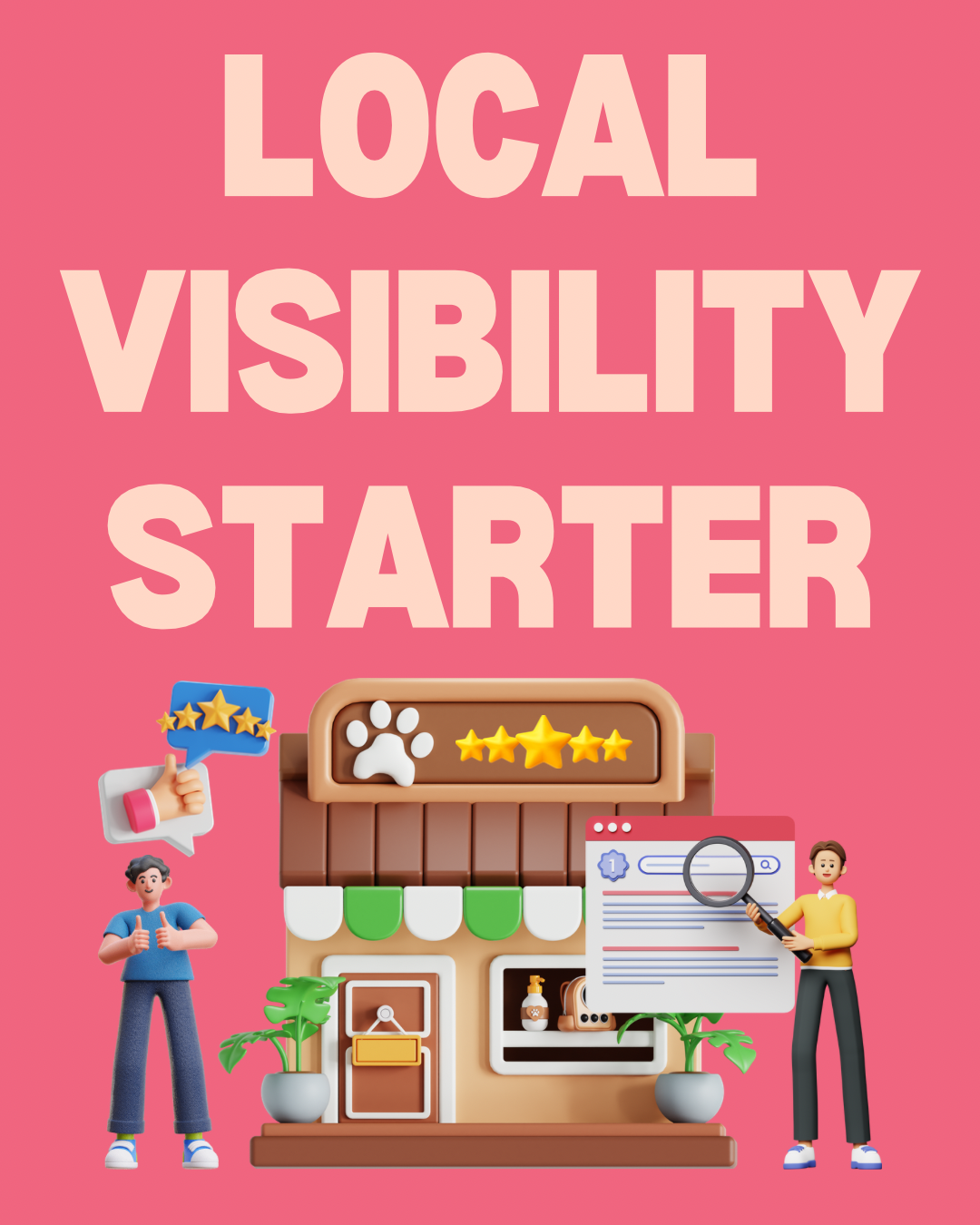 Local Visibility Starter