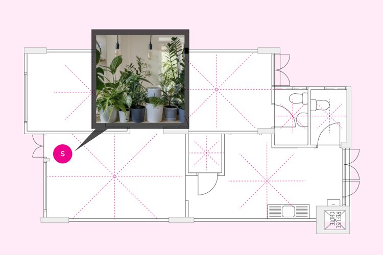 The Missing Corners Remedies: South (S)