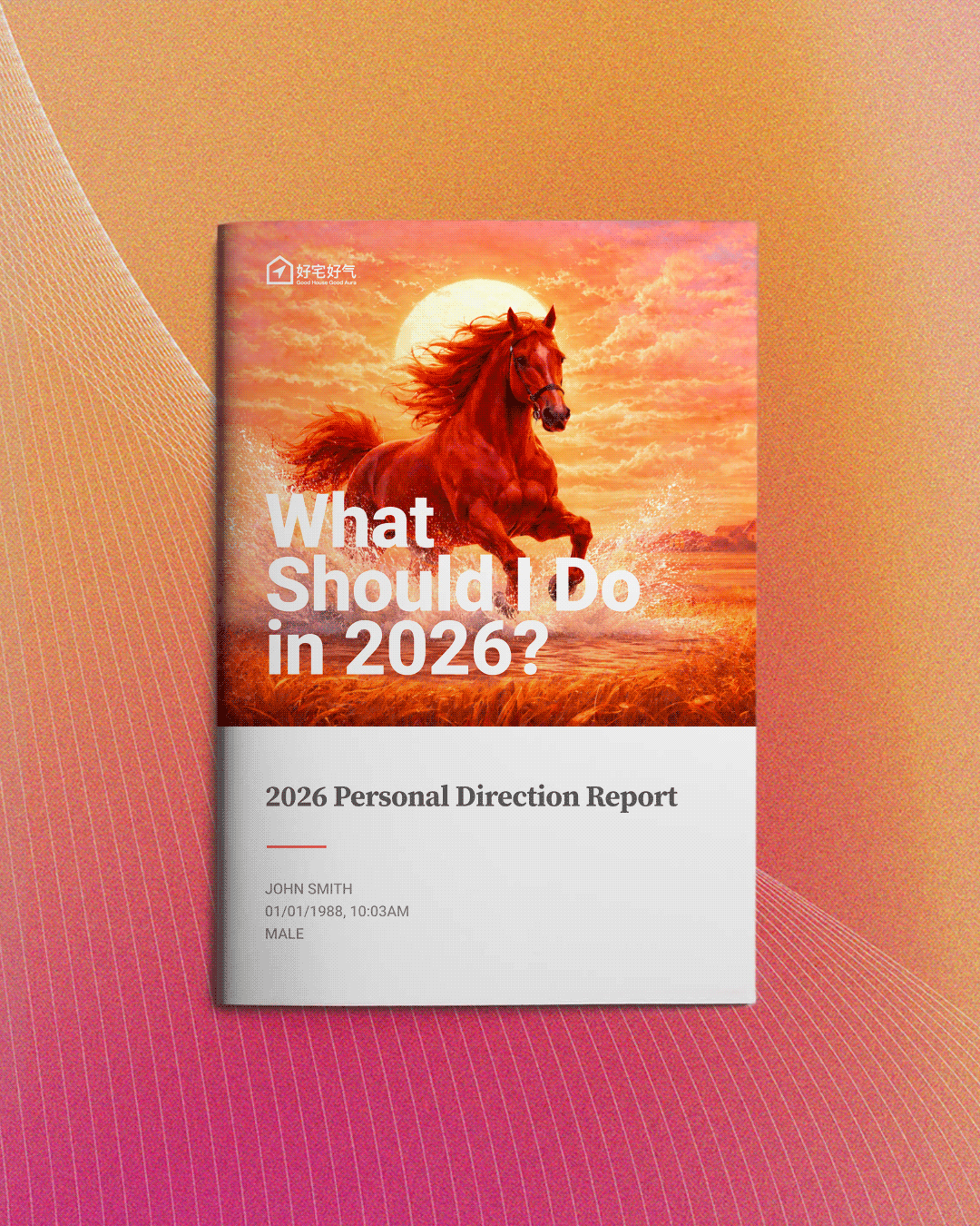 A personal direction report cover featuring a galloping horse against a sunset background with clouds and water, and the text 'What Should I Do in 2026?'.
