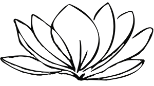 Amy King's site logo, a stylized outline of a lotus flower with petals.