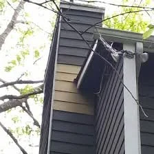 Siding, Fascia, & Soffit Repair