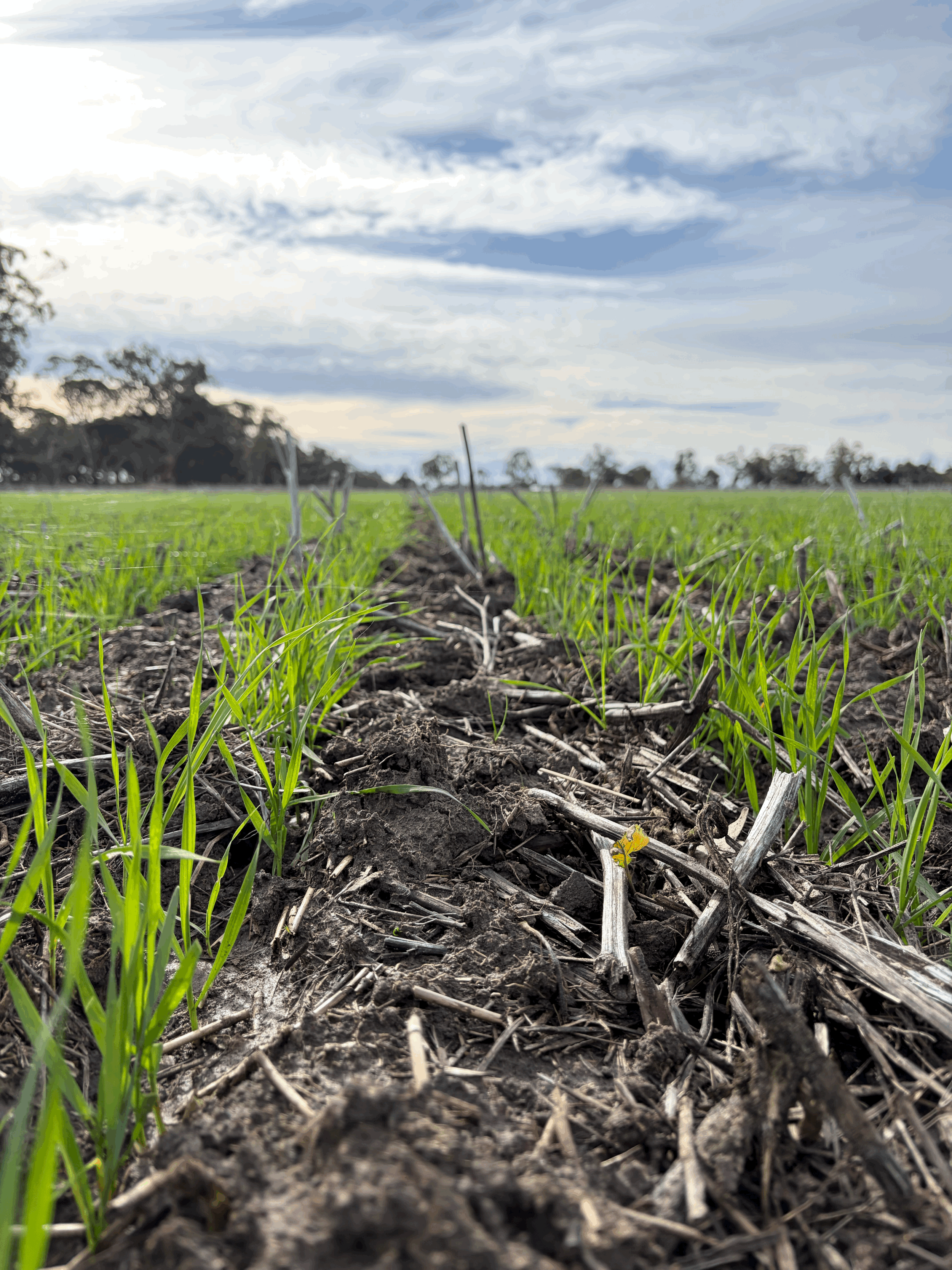 Taking Over the Farm is One Thing. Understanding It is Another.