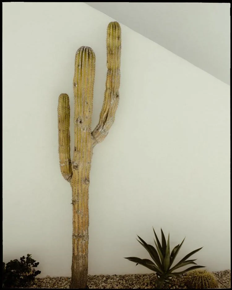 Salon customer with new long natural braids