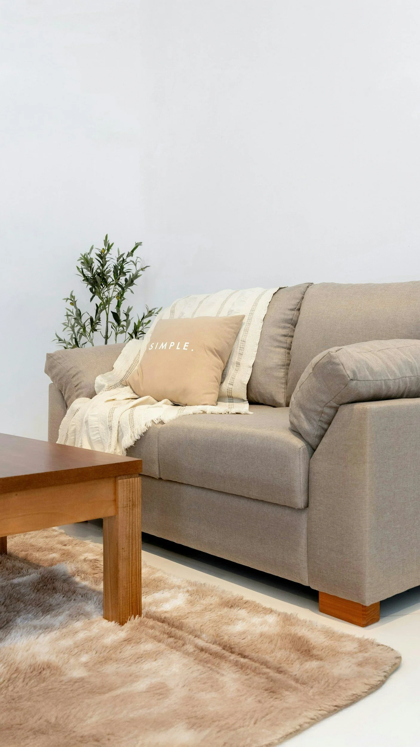 A beige sofa with a cream throw blanket, a beige pillow with white text reading "SIMPLE," and a darker beige lumbar pillow. A potted green plant is in the background, and a wooden coffee table with a light brown carpet in front.
