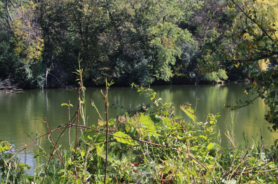 Screenshot 2026-01-12 190033.png