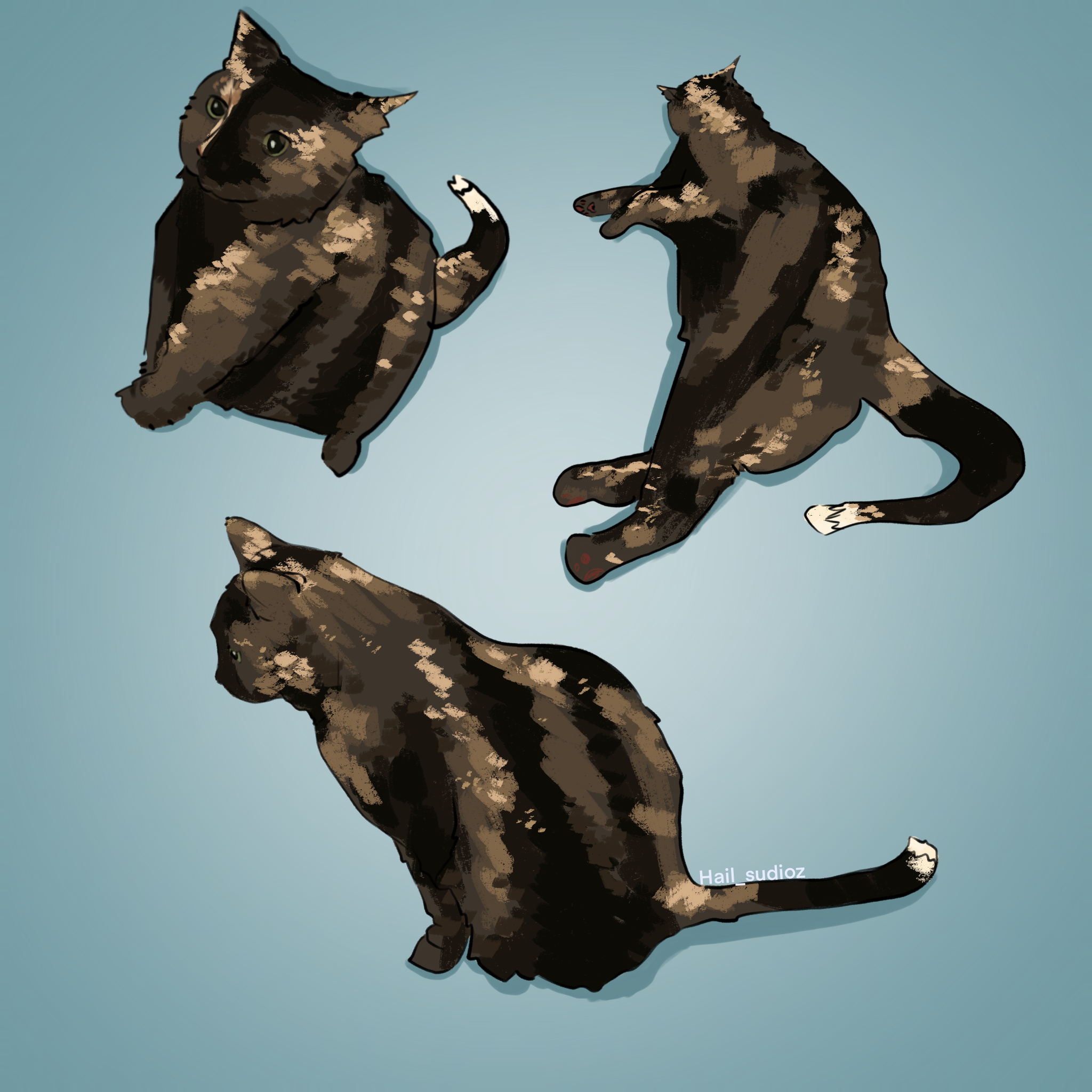 Untitled_Artwork 3.png