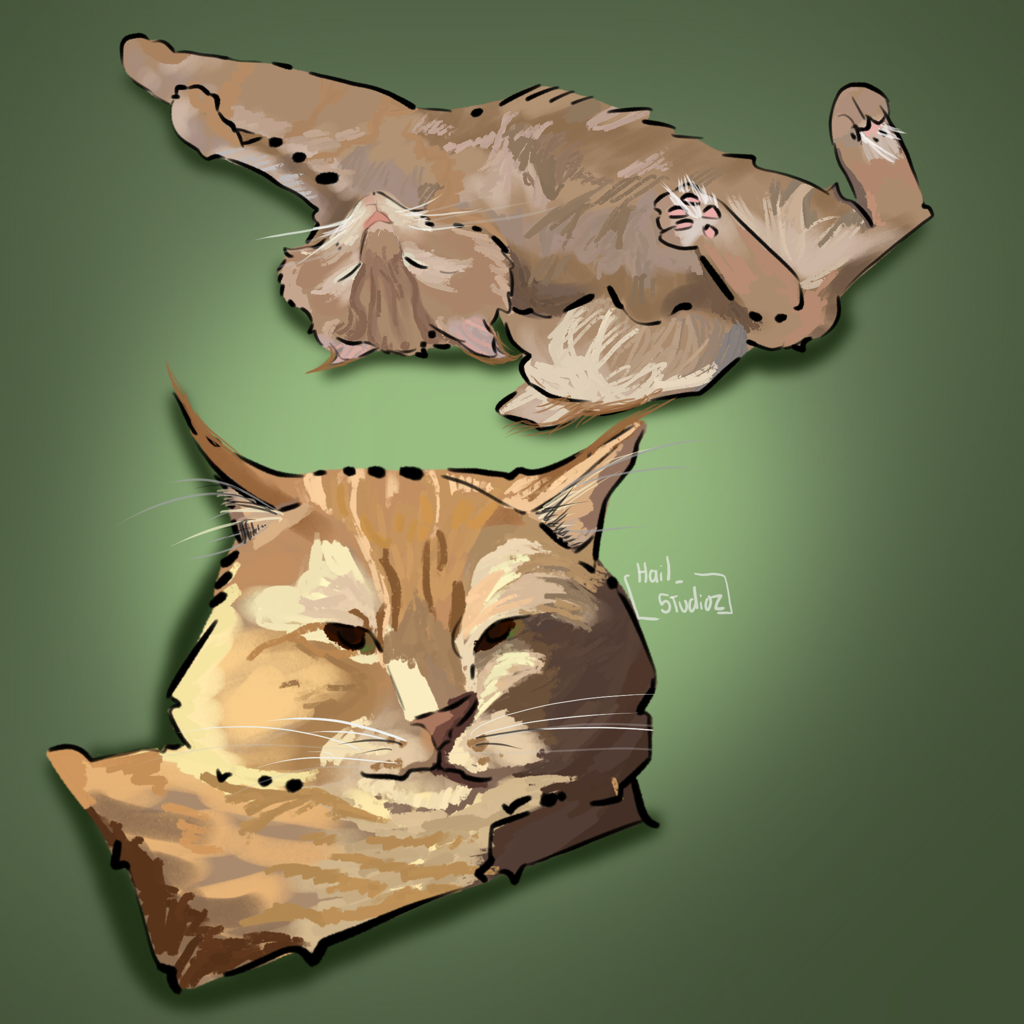 Untitled_Artwork 1.png