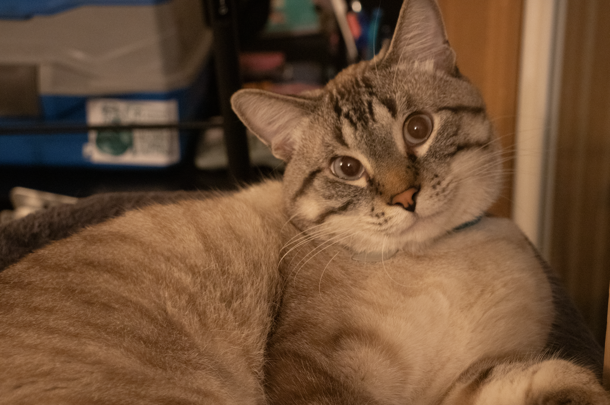 Screenshot 2026-04-10 at 1.23.55 PM.png