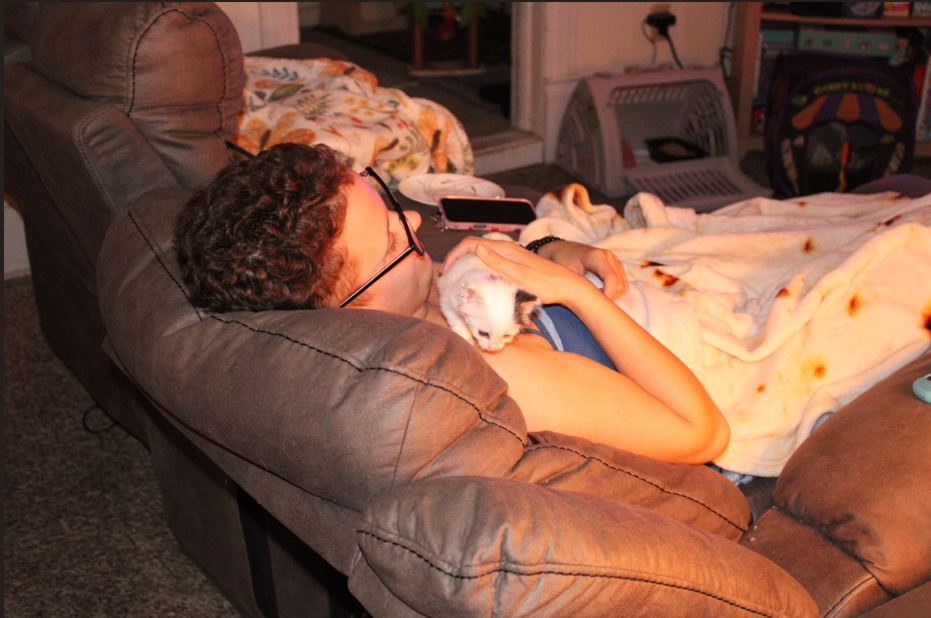 Screenshot 2026-01-12 185608.png