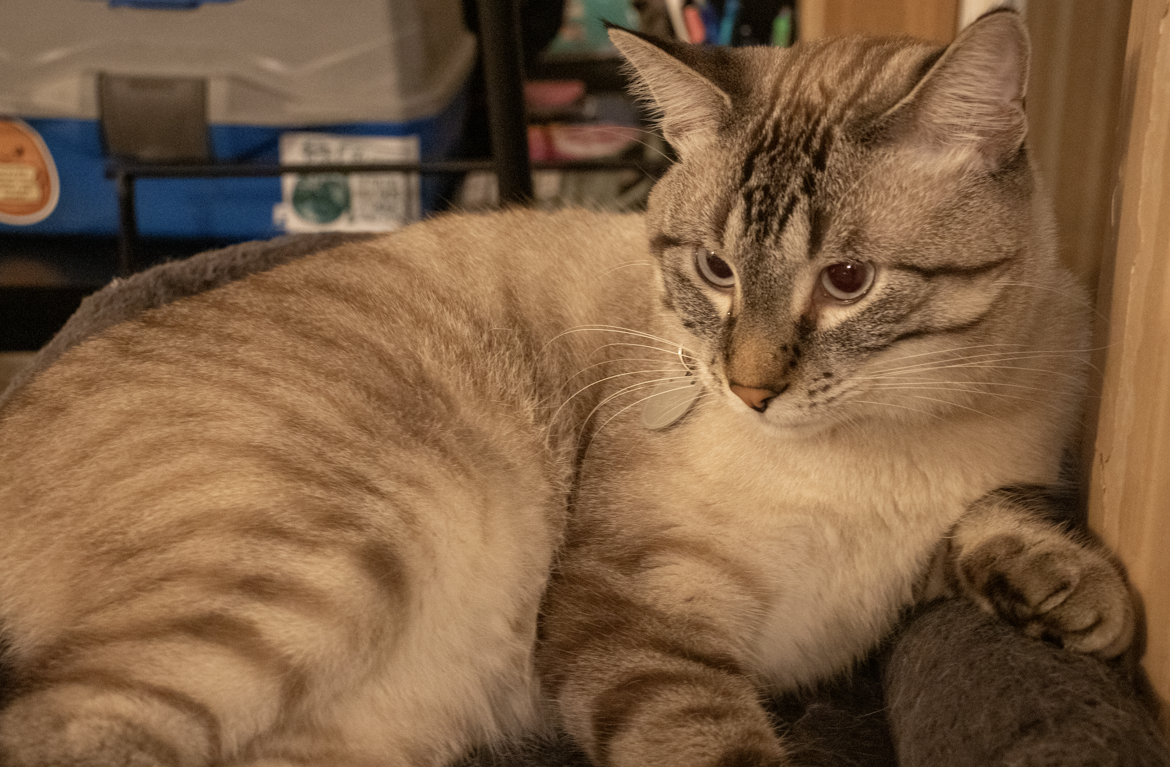 Screenshot 2026-01-02 at 9.46.55 PM.png