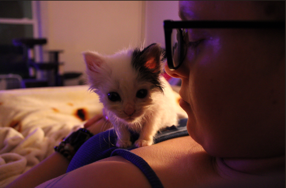 Screenshot 2026-01-12 185547.png