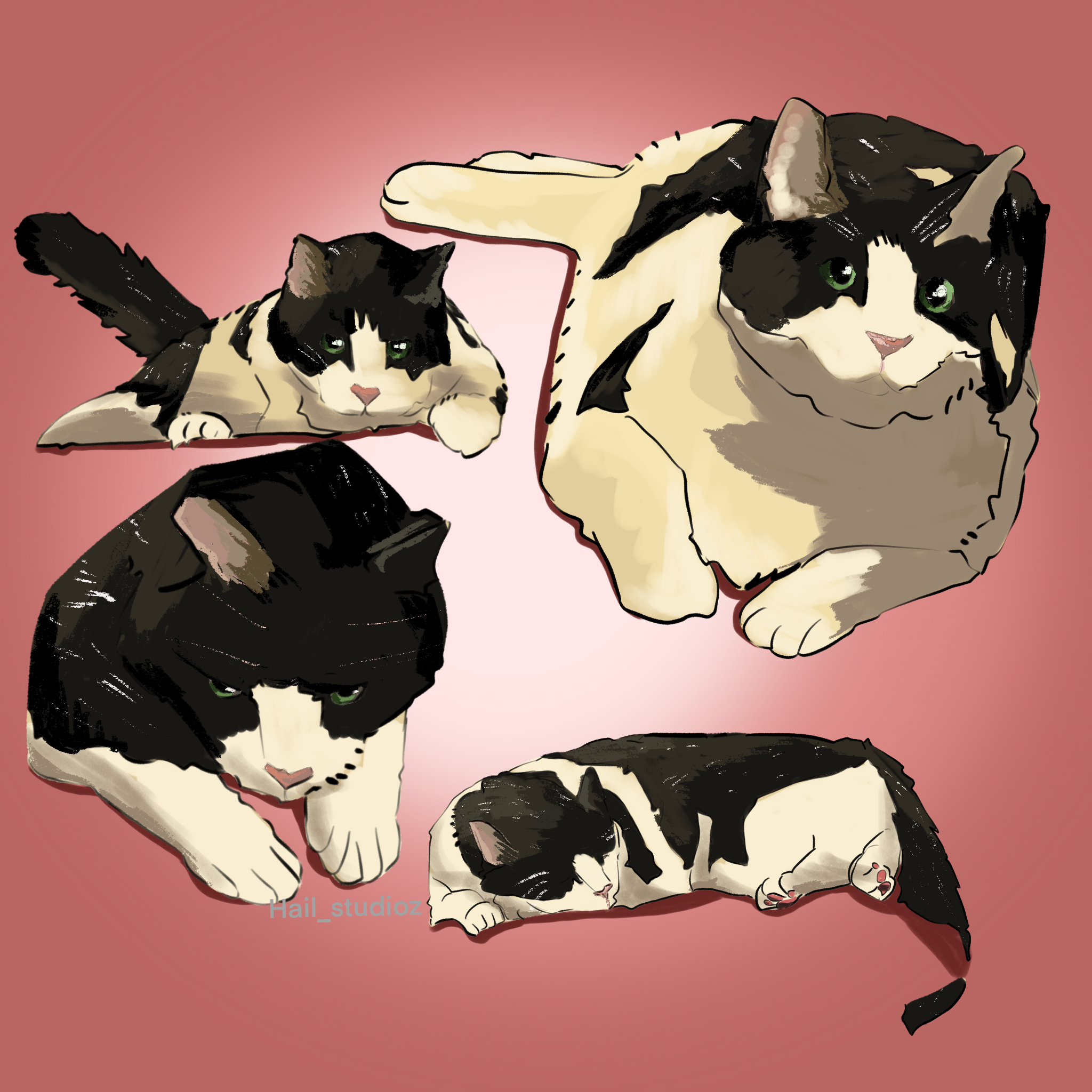 Untitled_Artwork 2.png