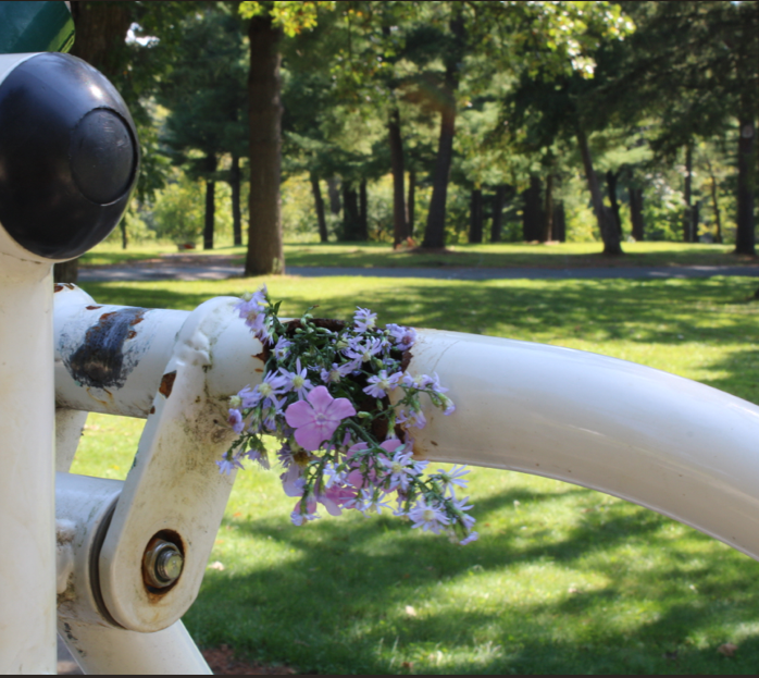 Screenshot 2026-01-12 190016.png