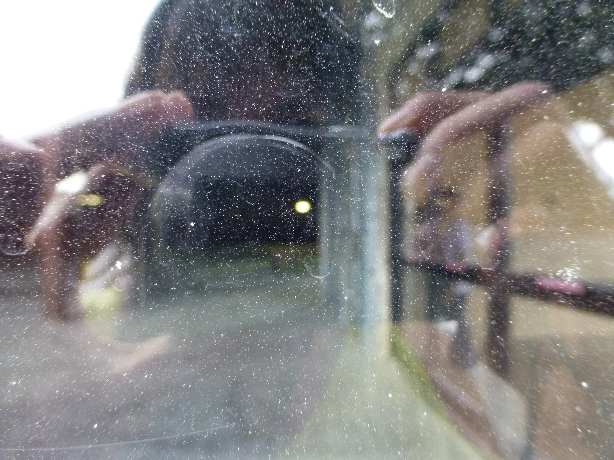 P1090882.JPG