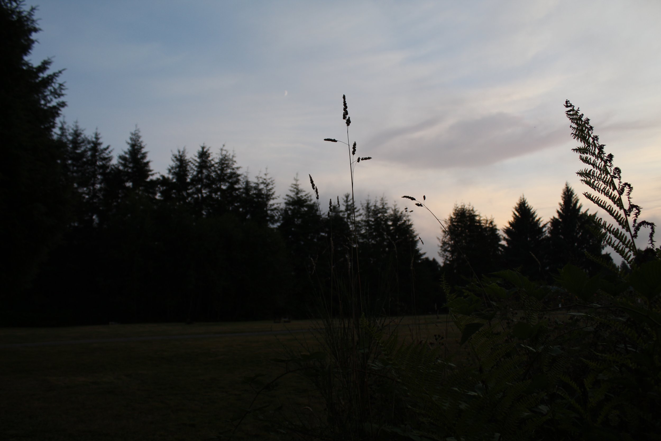 IMG_7848.JPG