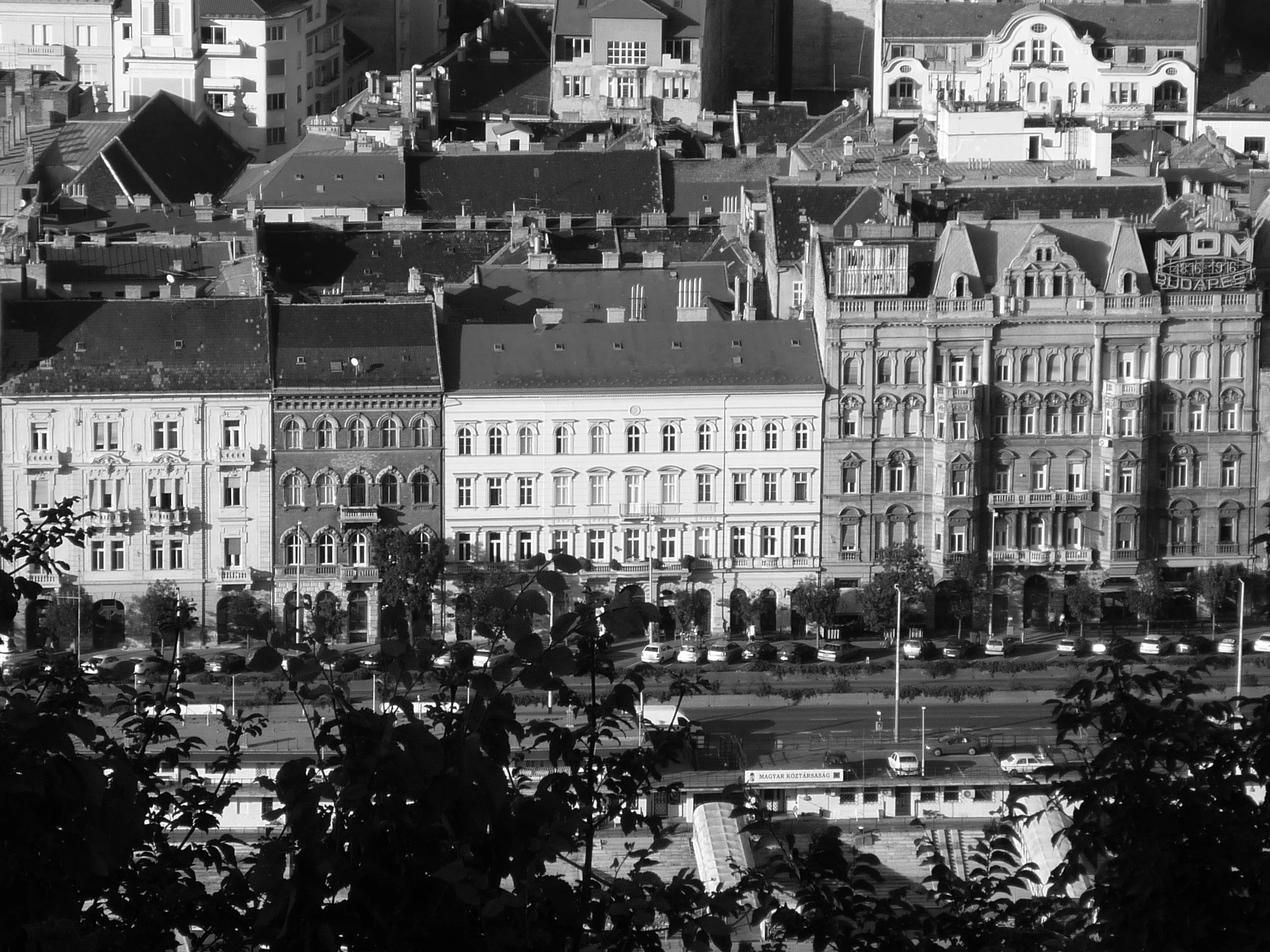 P1000472.JPG