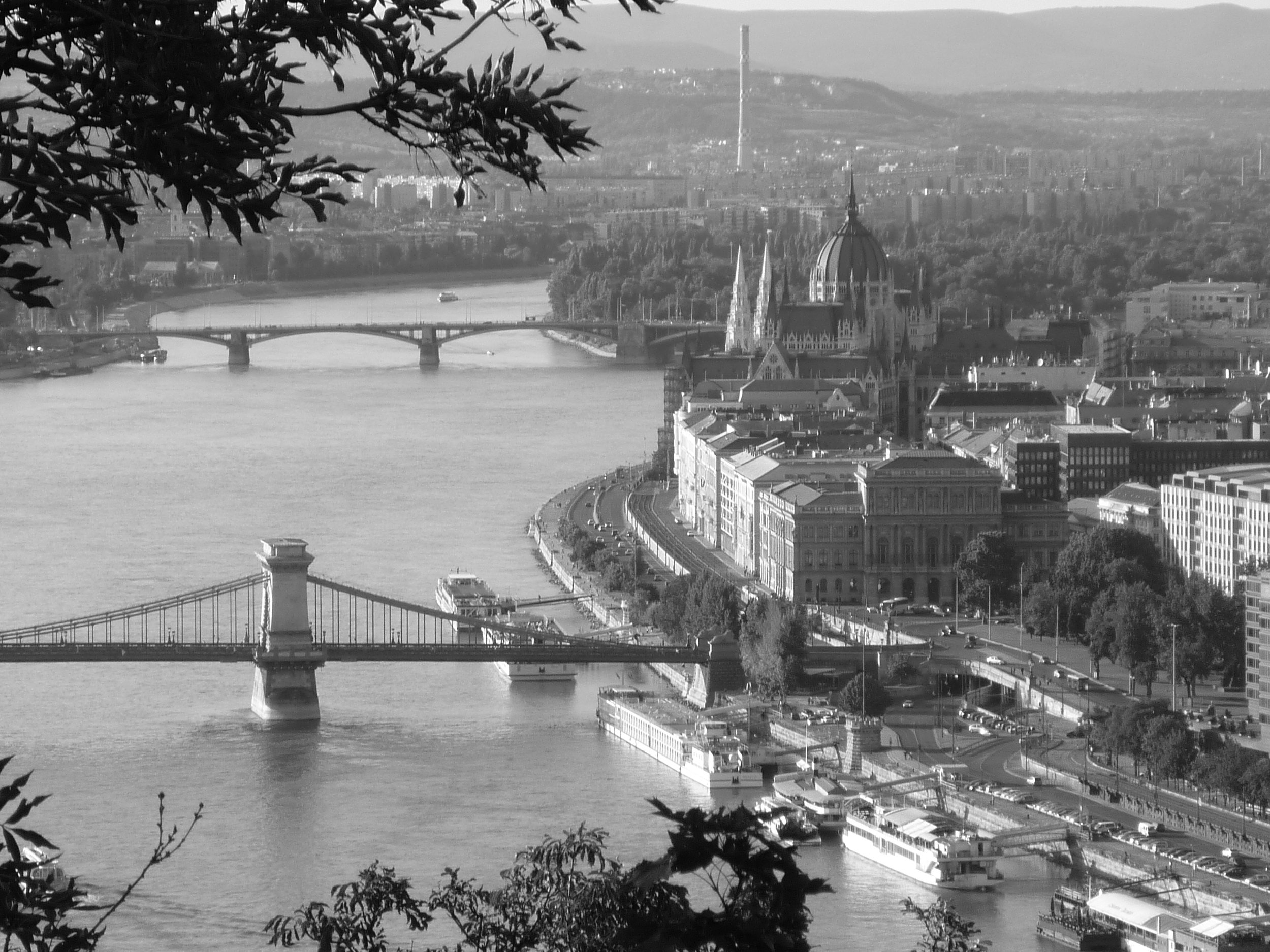 P1000455.JPG