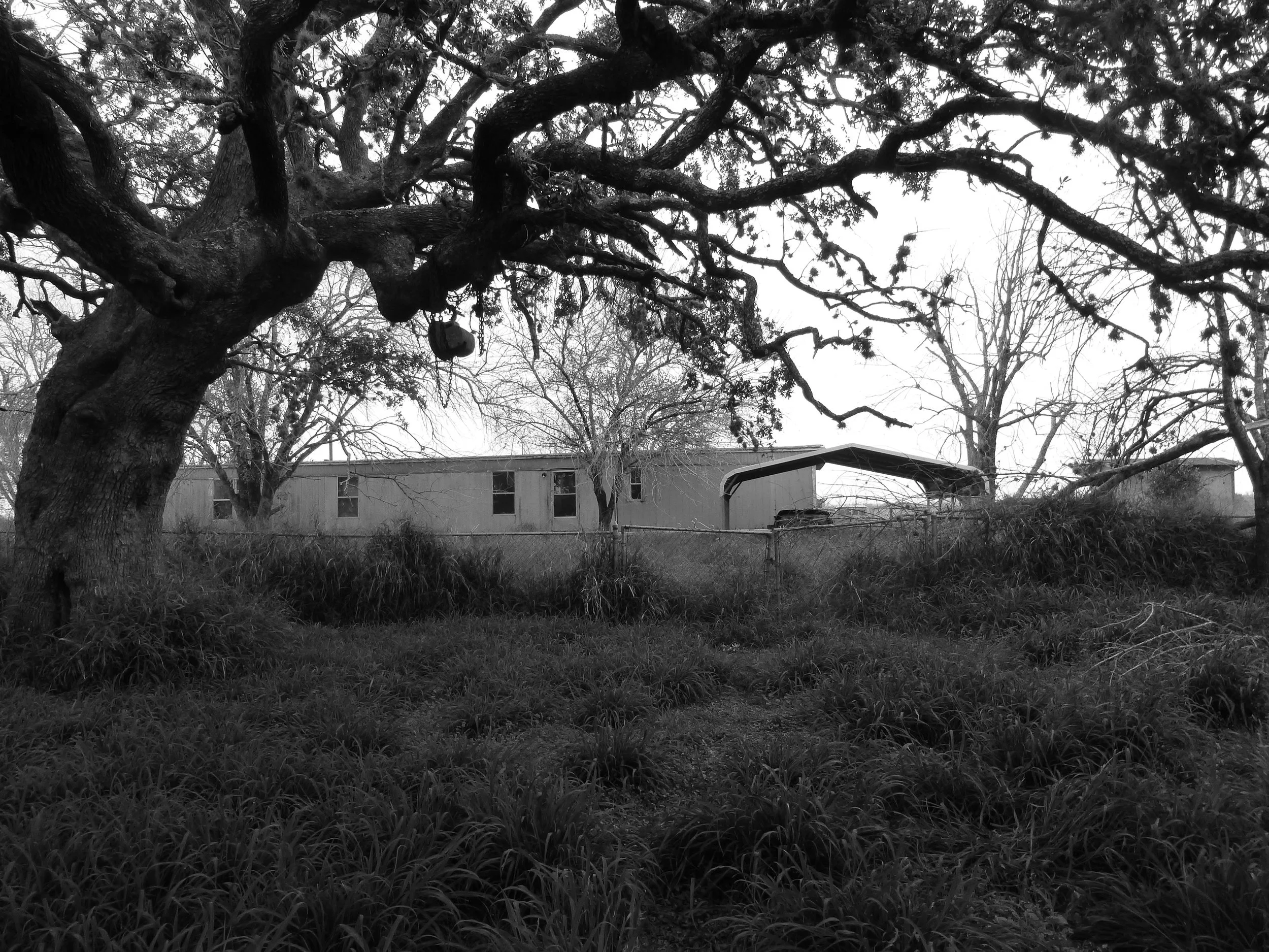 P1090637 copy.jpg