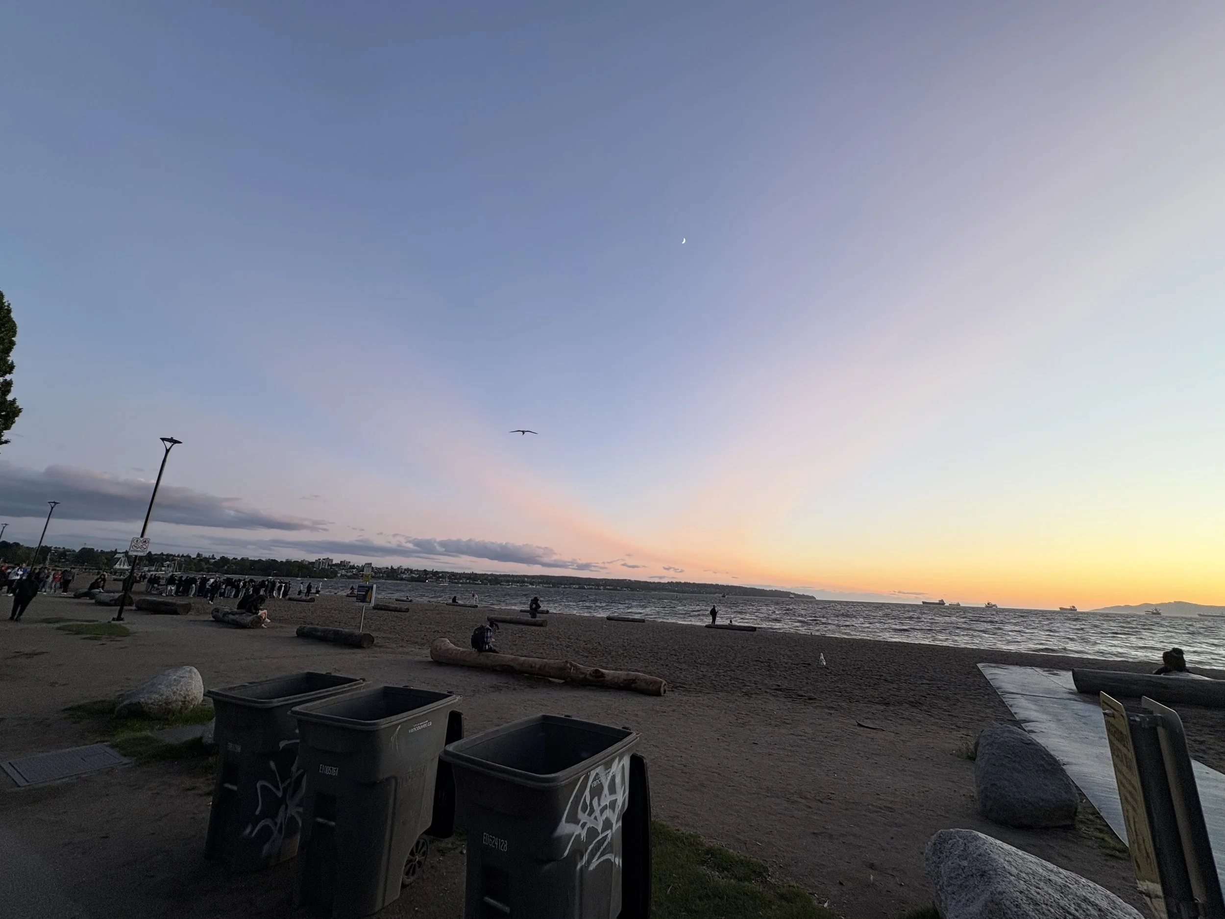 IMG_9718.jpeg