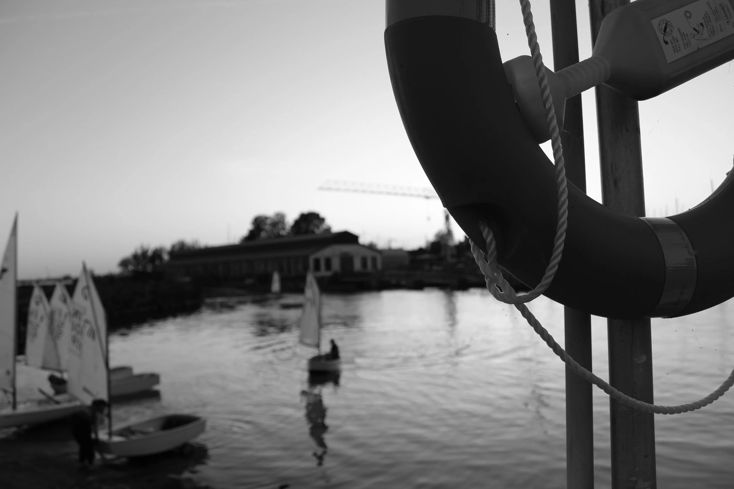 IMG_4328.JPG