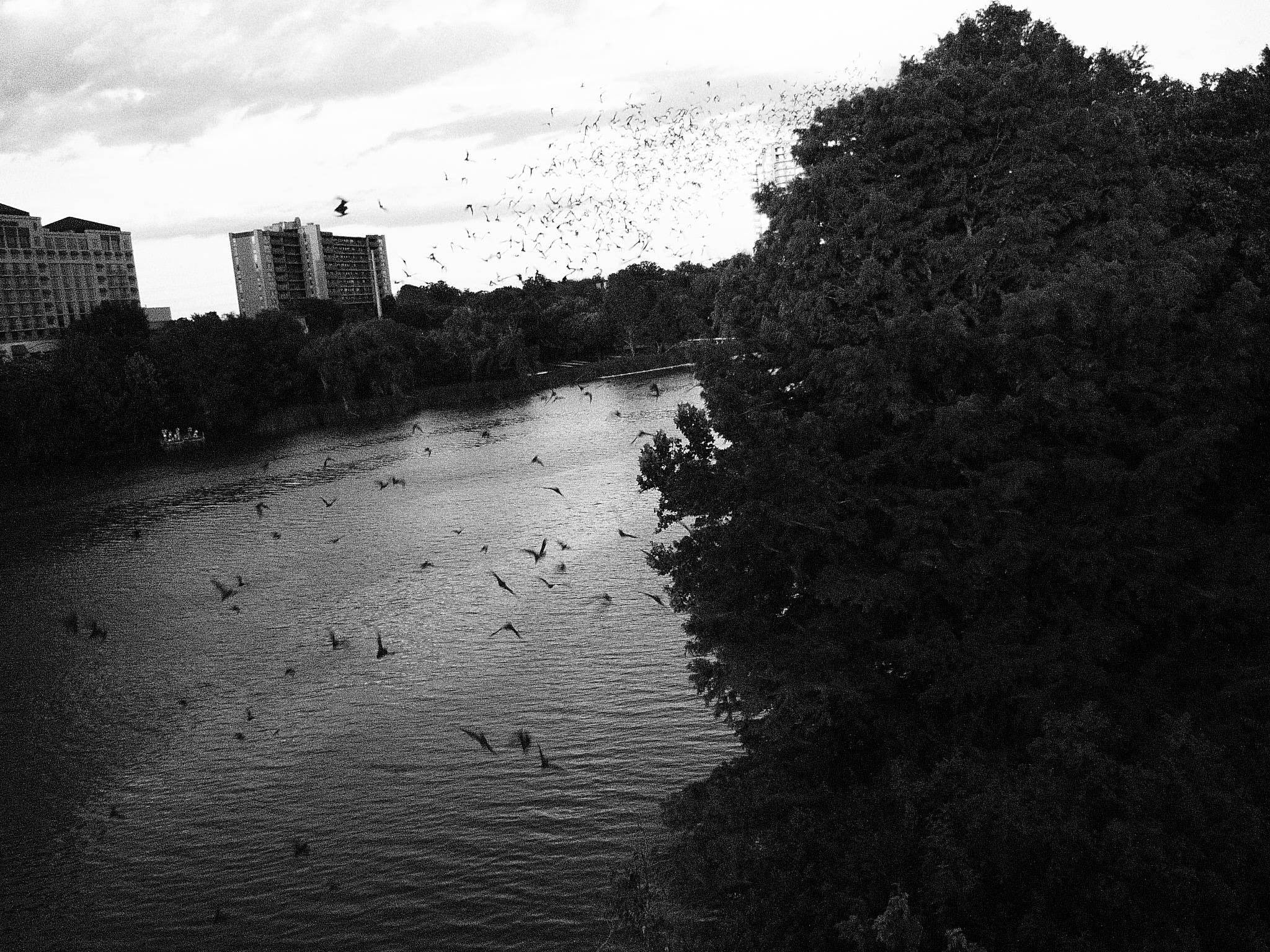 P1040933.JPG