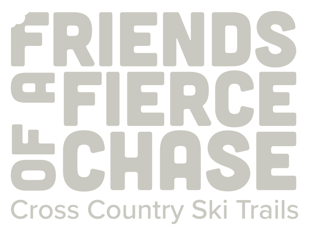 The text-only version of the logo in gray