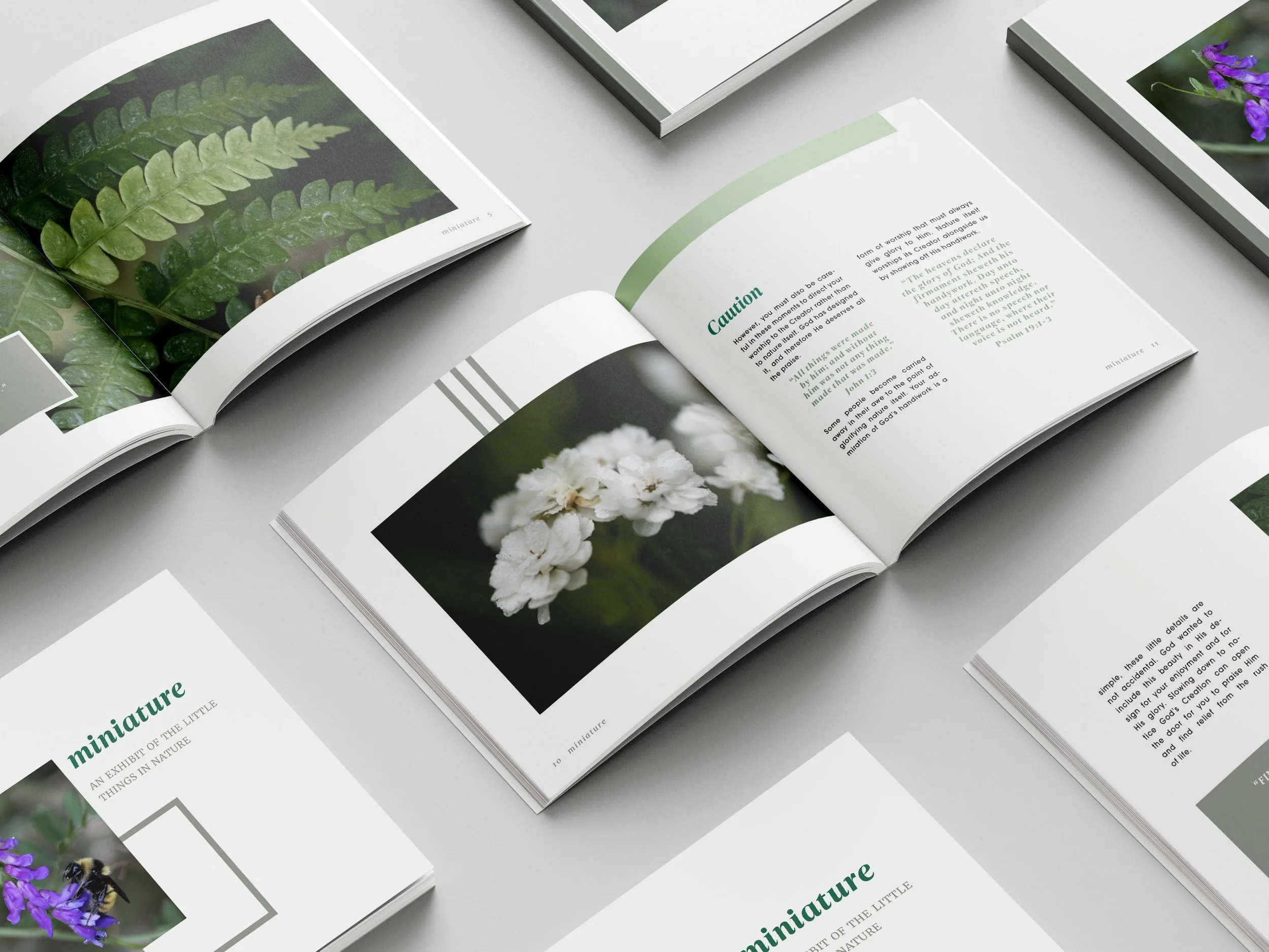 Multiple copies of the book laid on a flat surface to show different spreads of the book