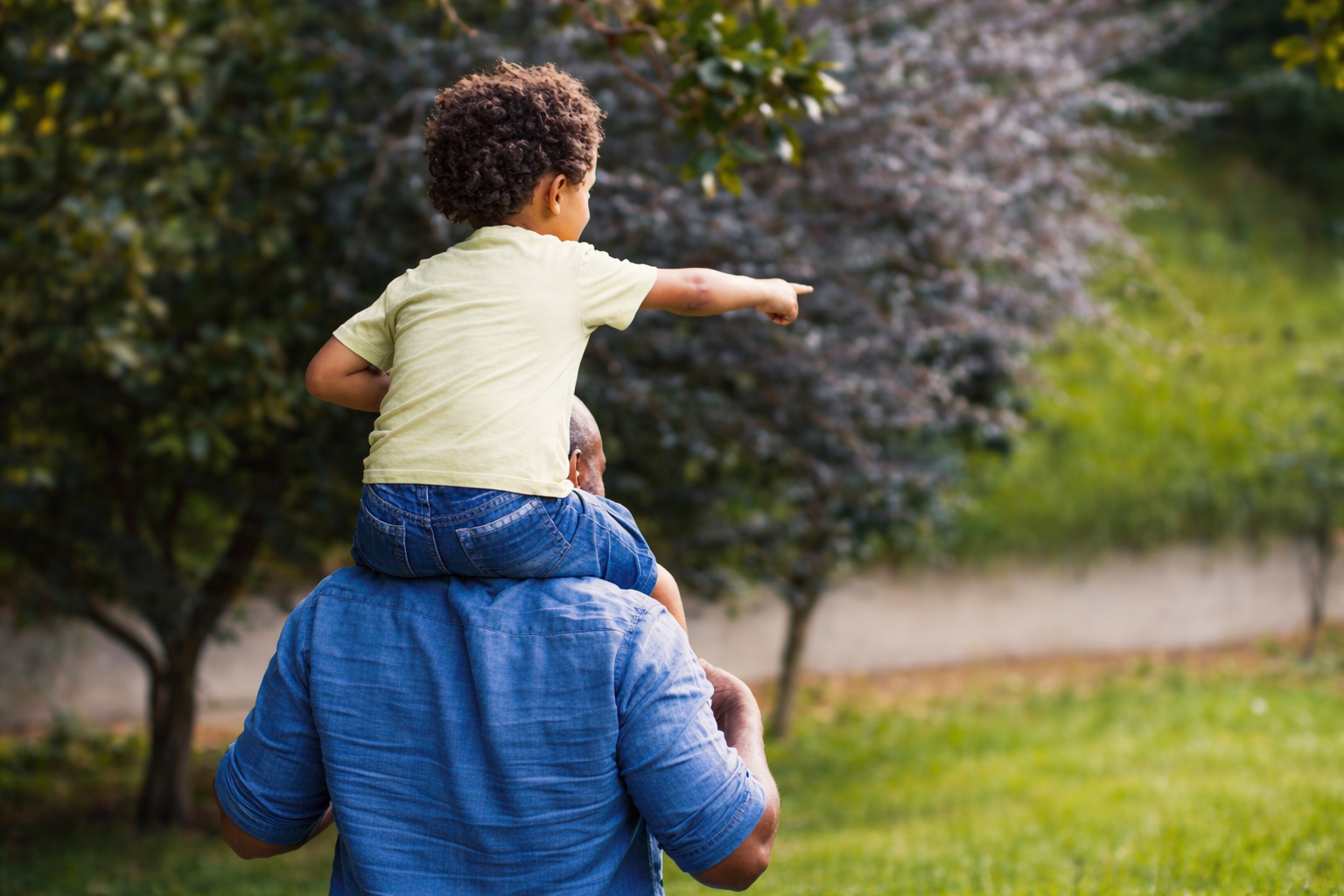 A man walking outdoors with a young boy on his shoulders, pointing at something in the distance, surrounded by trees and greenery.