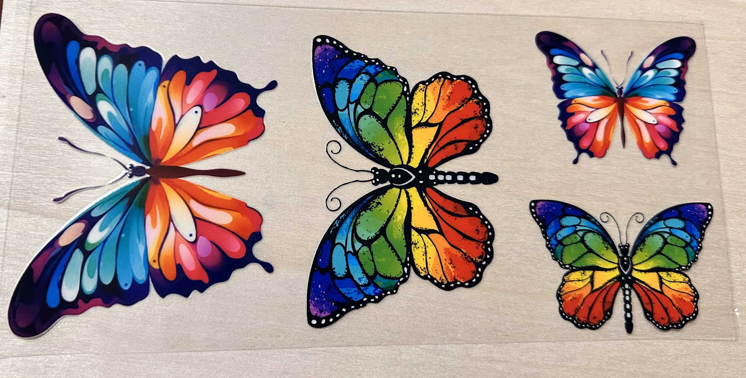 Colorful Butterflies-4