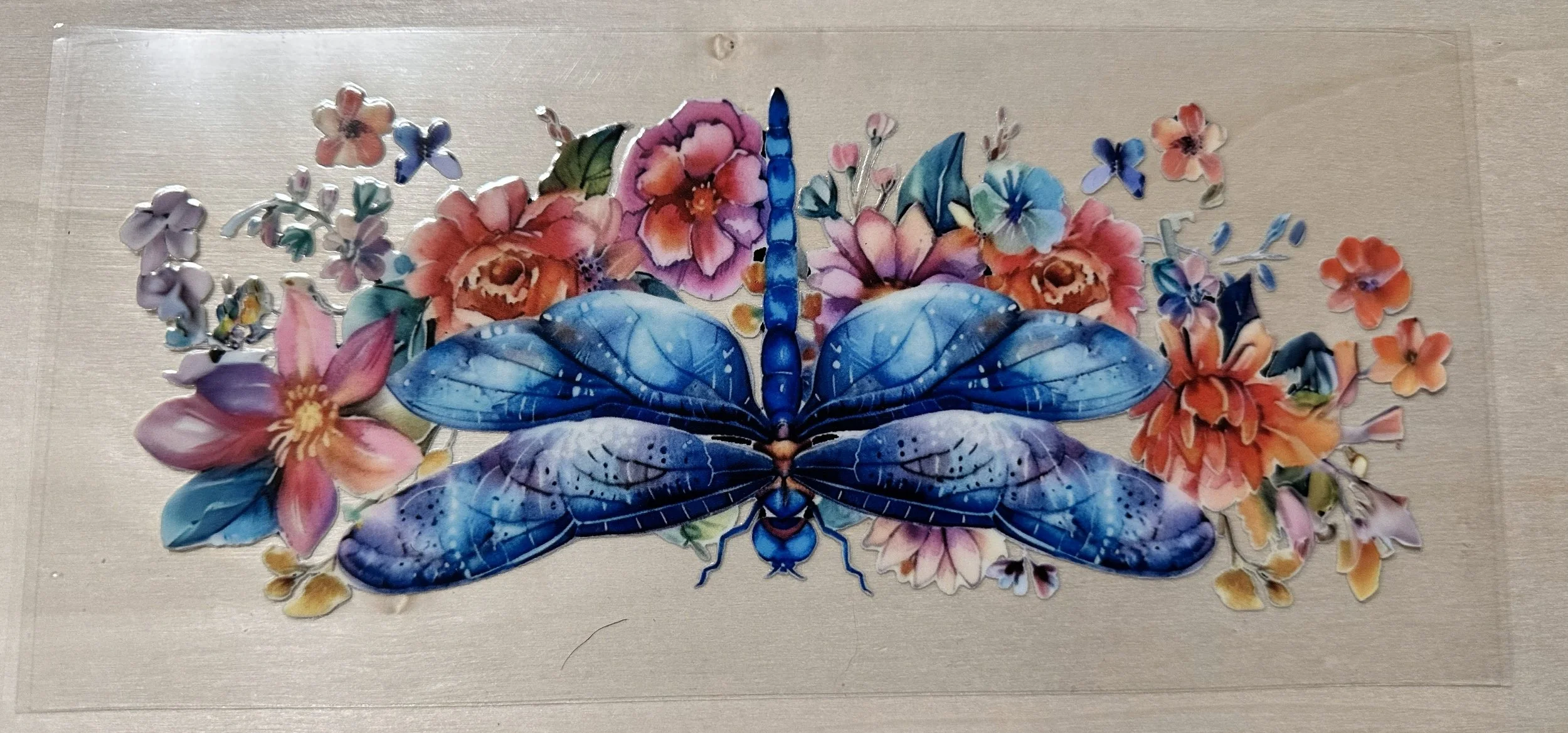 Light Blue  Butterflies