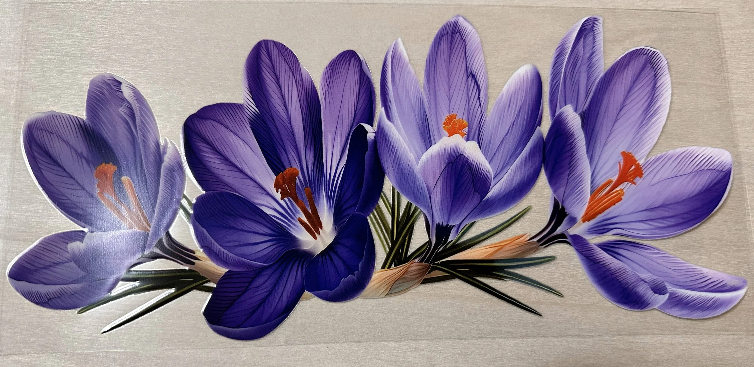 Crocus Purple