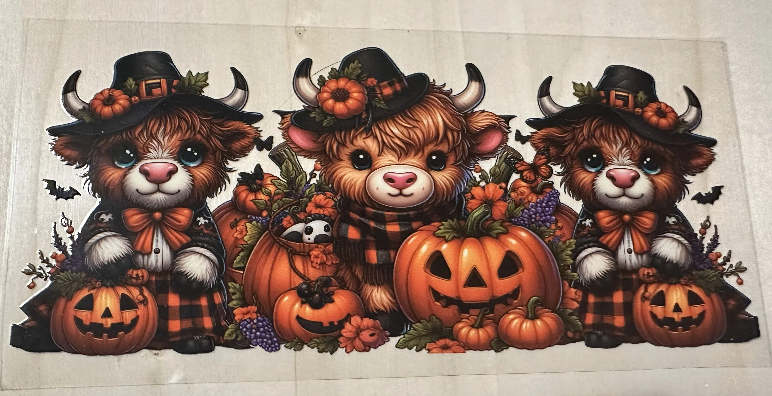 Halloween Cows