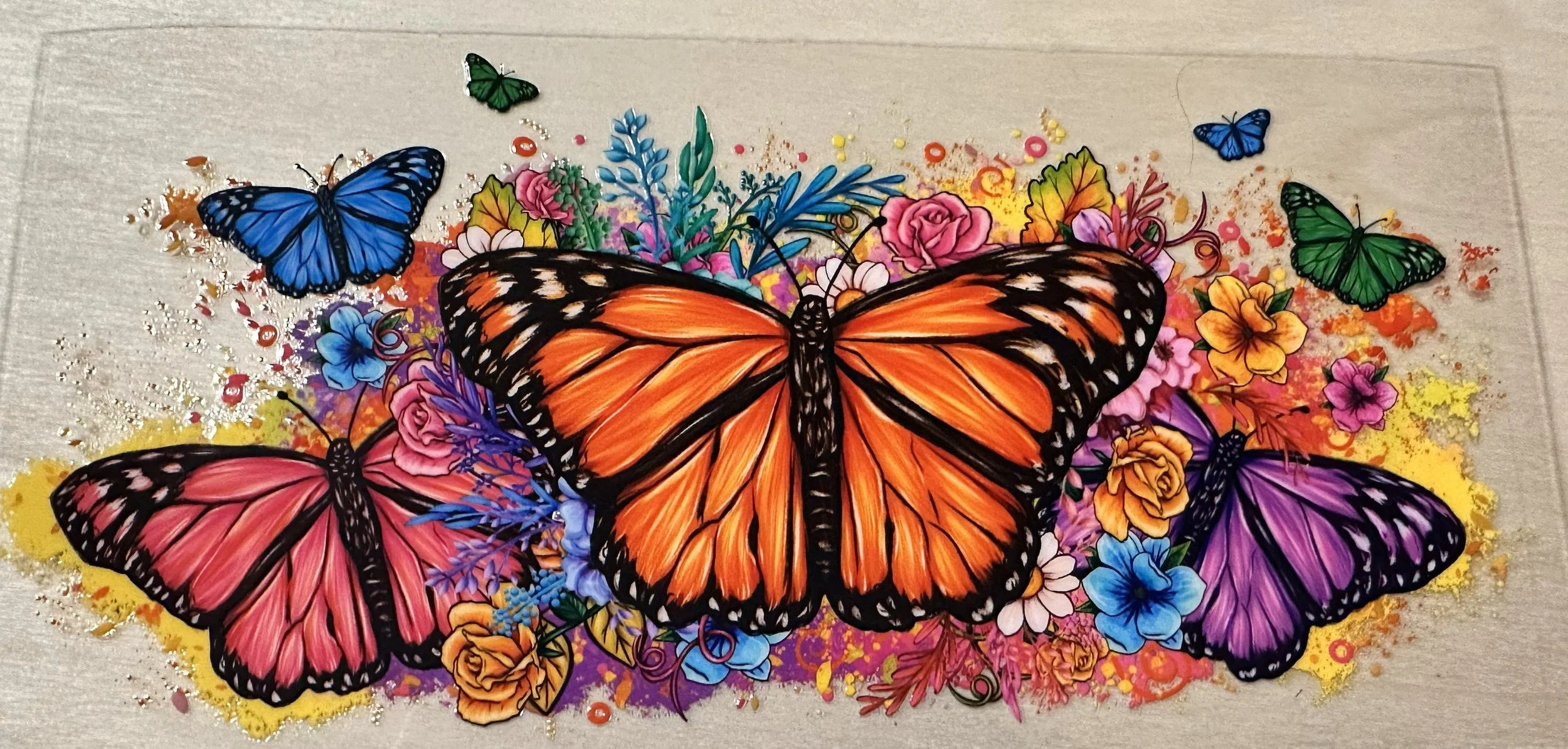 Different Color Butterflies