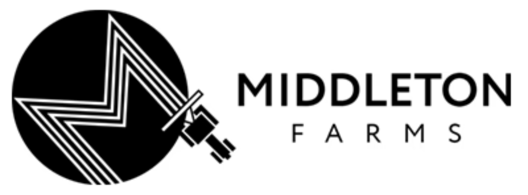 A person dressed in black and one dressed in red sitting at a table with floral design in a restaurant or café