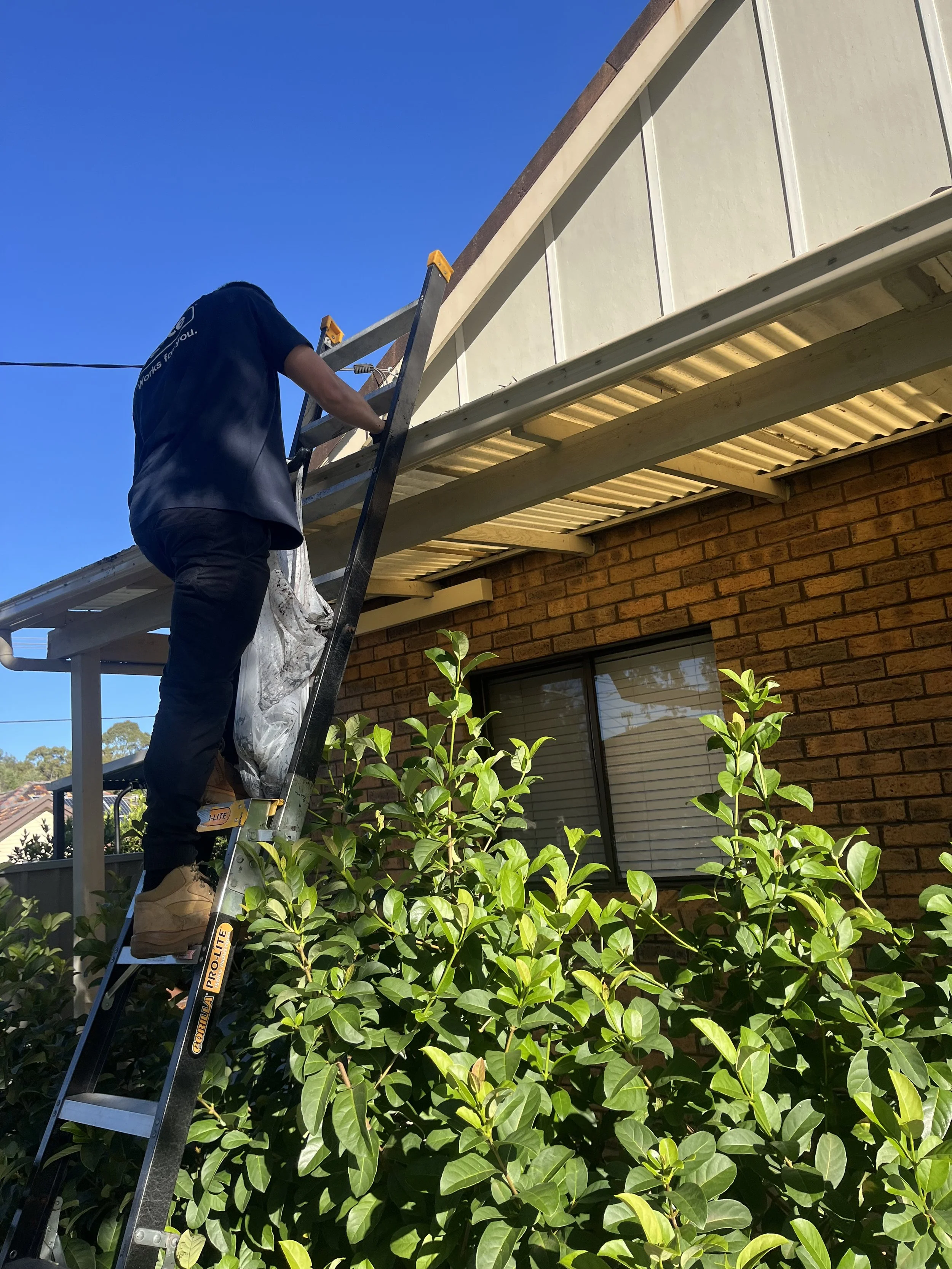 Gutter cleaning service in Inner West Sydney Blocked gutter cleaning for Inner West Sydney homes Roof gutter maintenance by Strive Property Services