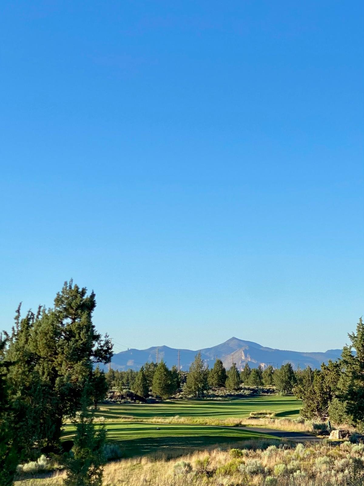 Scenic landscape of a golf course surrounded by trees with mountains in the distance under a clear blue sky.
