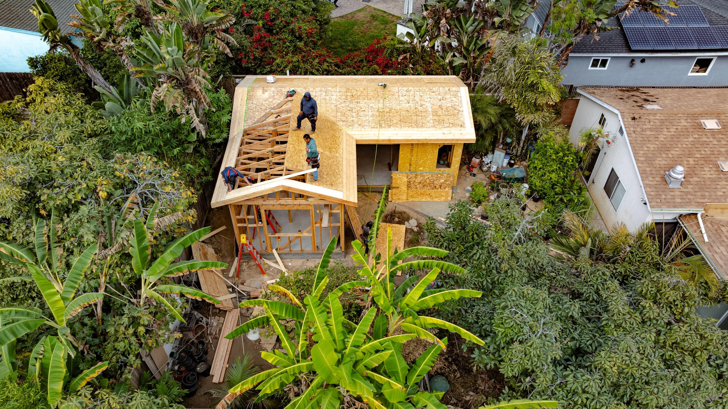 Aerial view of a house under construction in San Diego with workers installing a wooden roof, surrounded by lush green trees and neighboring houses.