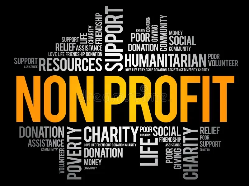 Word cloud with 'NON PROFIT' in large orange letters at the center surrounded by words like support, humanitarian, resources, charity, donation, social, life, friendship, poverty, relief, assistance, community, volunteer, money, giving, and poor.