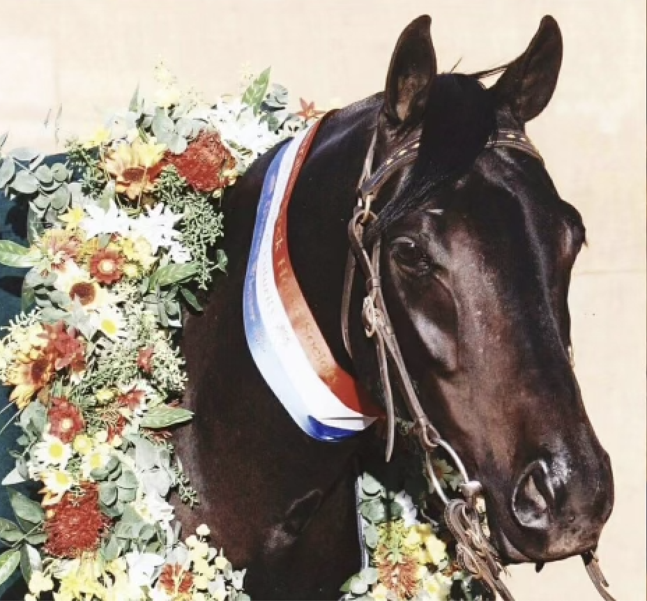 Screenshot 2026-01-04 at 8.22.27 PM.png