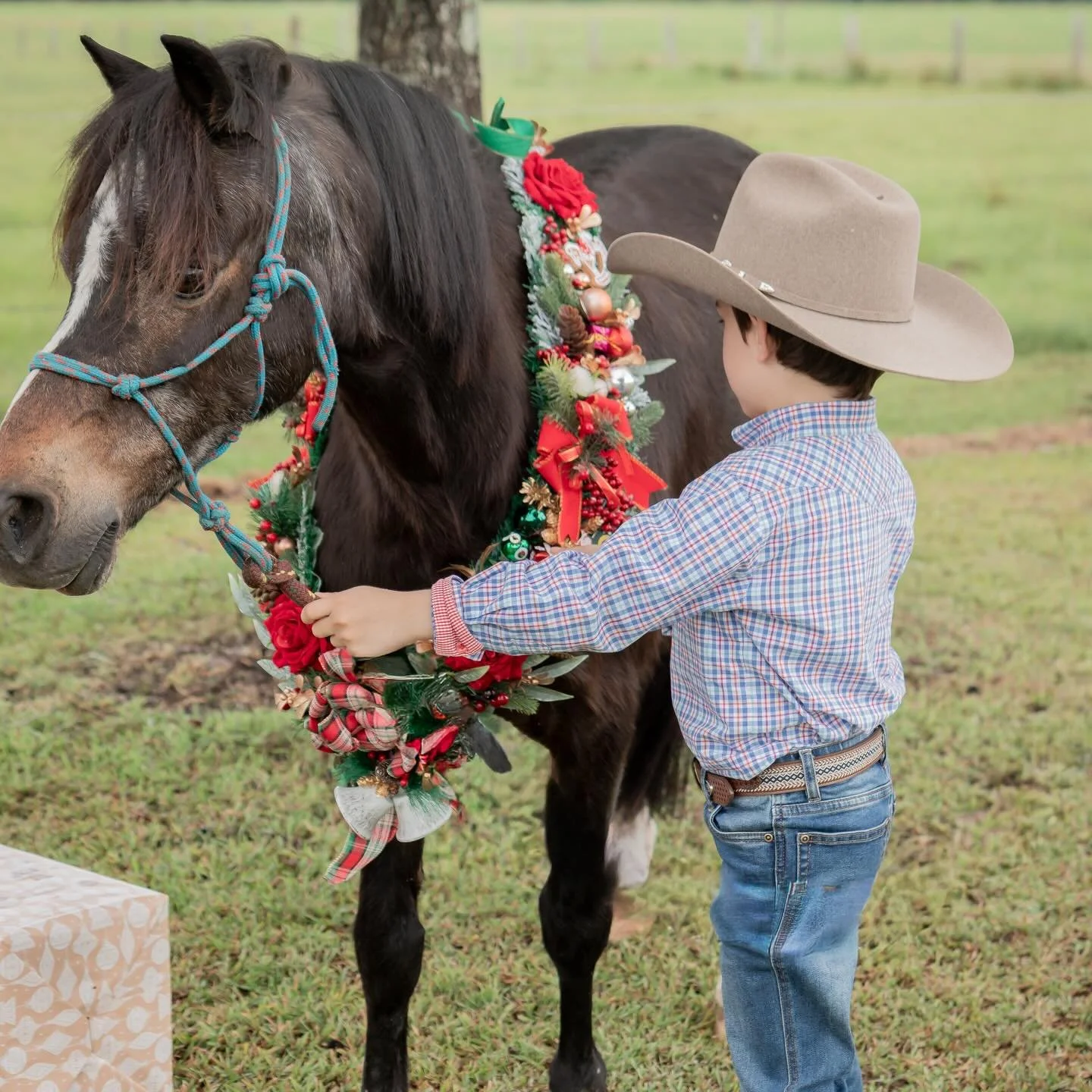 ✨ 📸 Elizabeth Argue Photography