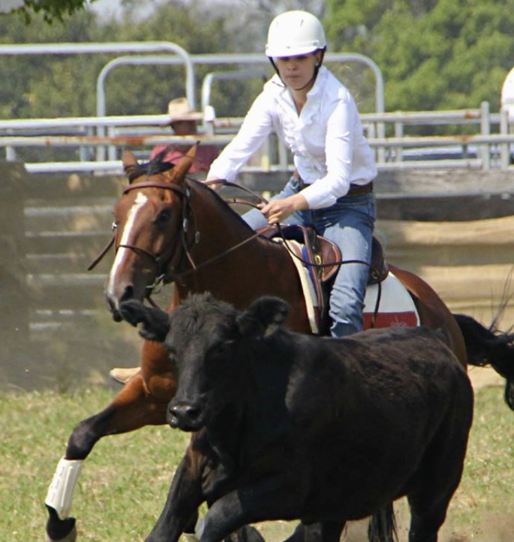 Screenshot 2025-09-17 at 1.37.24 PM.png