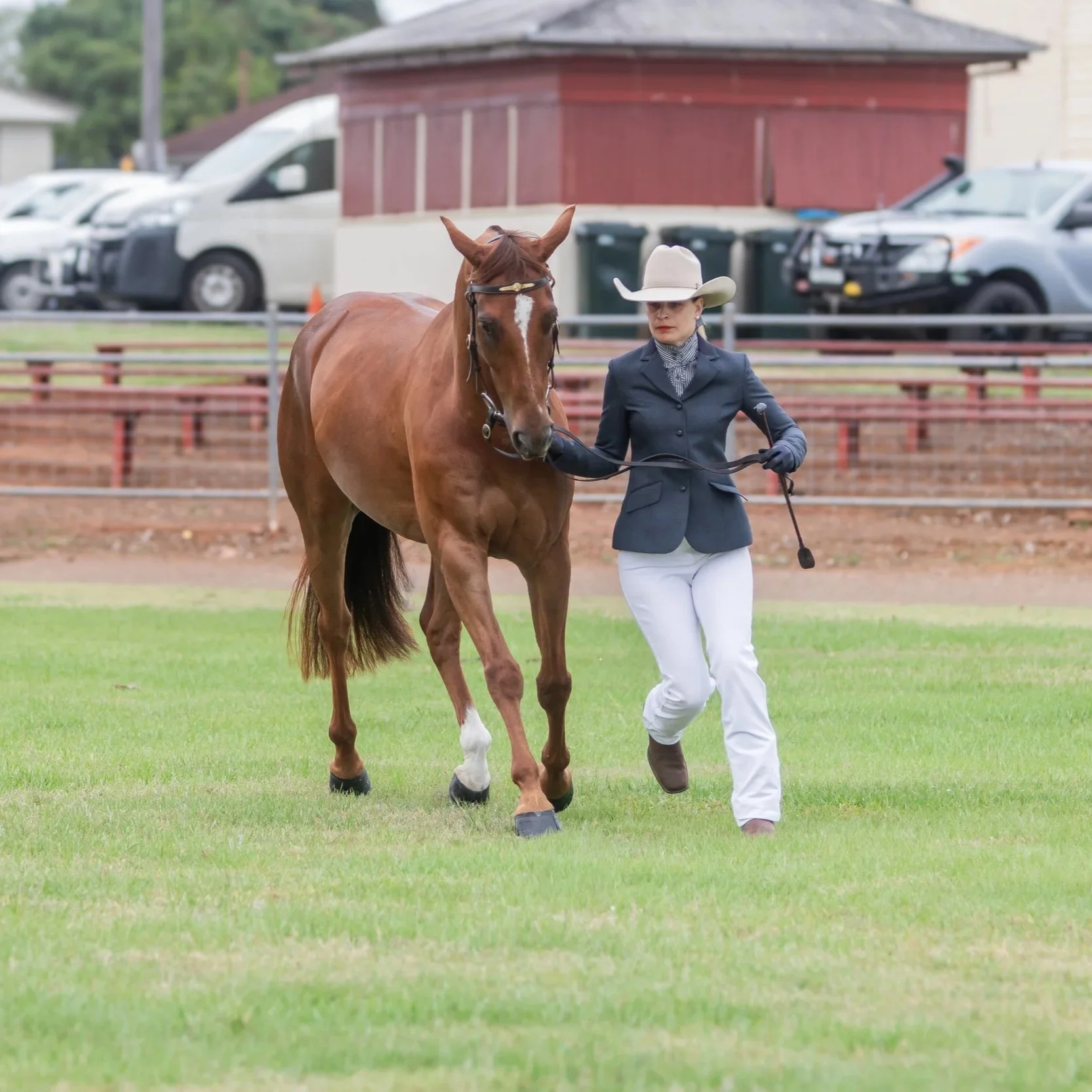 A woman in a navy blazer, white pants, and white cowboy hat walking a brown horse on a grassy field, with a red barn and parked cars in the background.