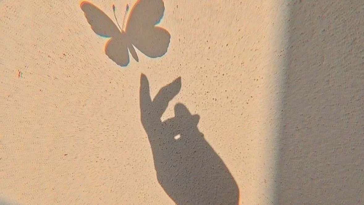 Why I Stopped Being an OnlyFans Creator — And What It Taught Me About Embodied Sensuality&nbsp;