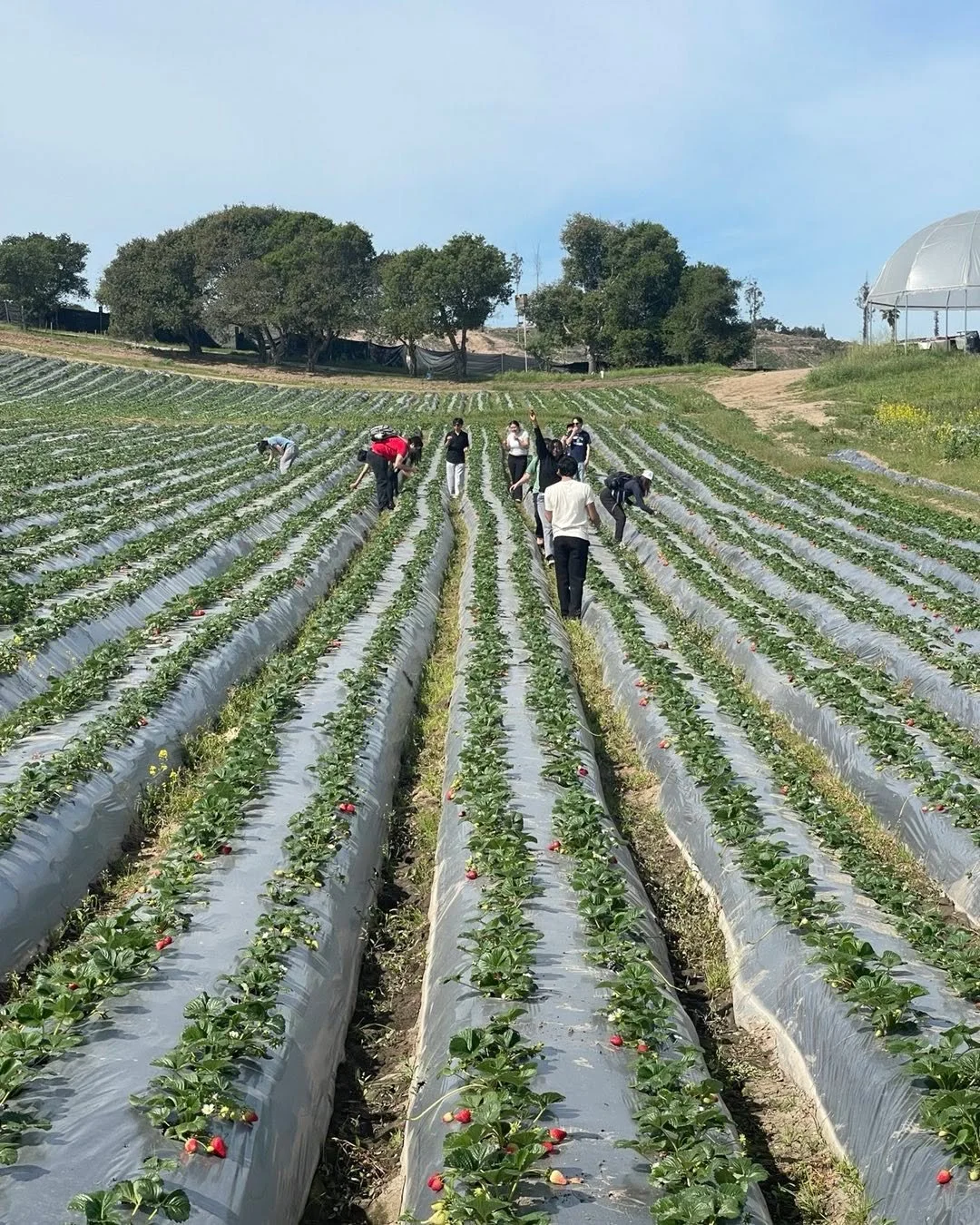 It&rsquo;s such a good pleasure to share Our knowledge with college students when they visit Our farm, they are passionate about leaning where their food comes from and the people making this possible.