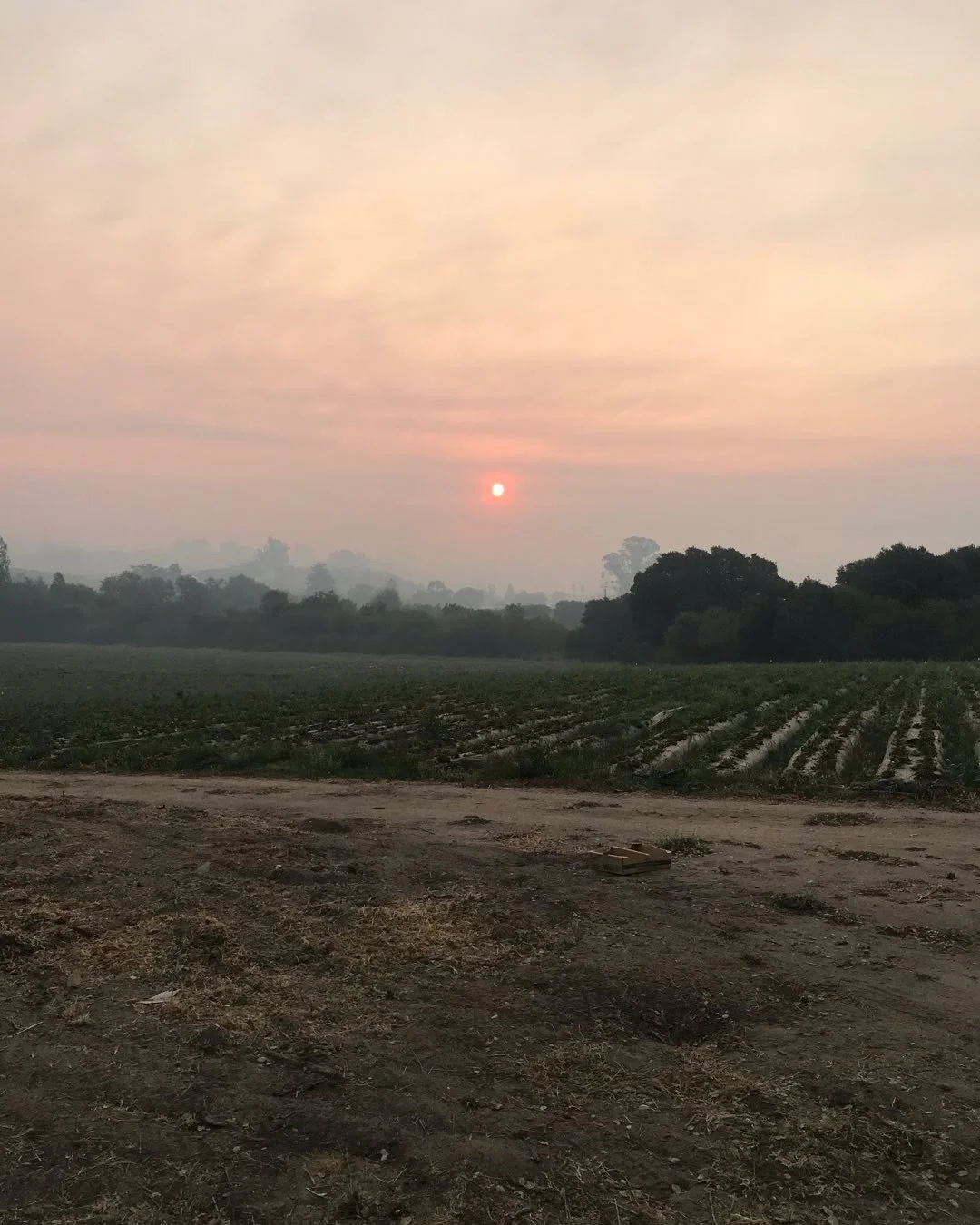 Let&rsquo;s hope Mother Nature doesn&rsquo;t send us more days like this in 2020 this coming week will be caliente amigos!!