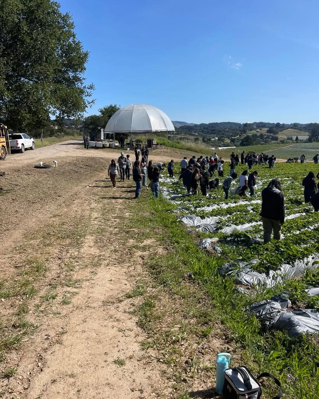Today We had the opportunity to share Our story and tour the farm with Our local high school teenagers, it is extremely important for Us to show them a carrier option in the real organic food production, hopefully some of them will grow healthy food 