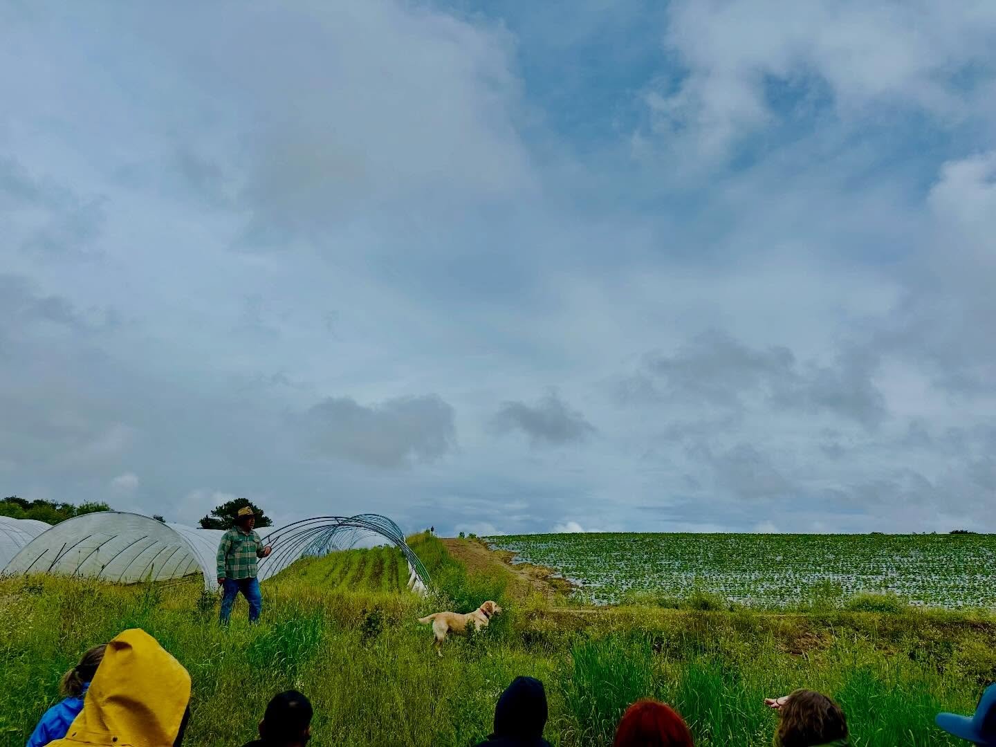 Even a little rain didn&rsquo;t stop us from taking a tour of the farm a little yesterday. Even Charlie 🐶 had a great time. Thanks for joining us at Farm to Shelf, every body! @eco.farm @rodaleinstitute