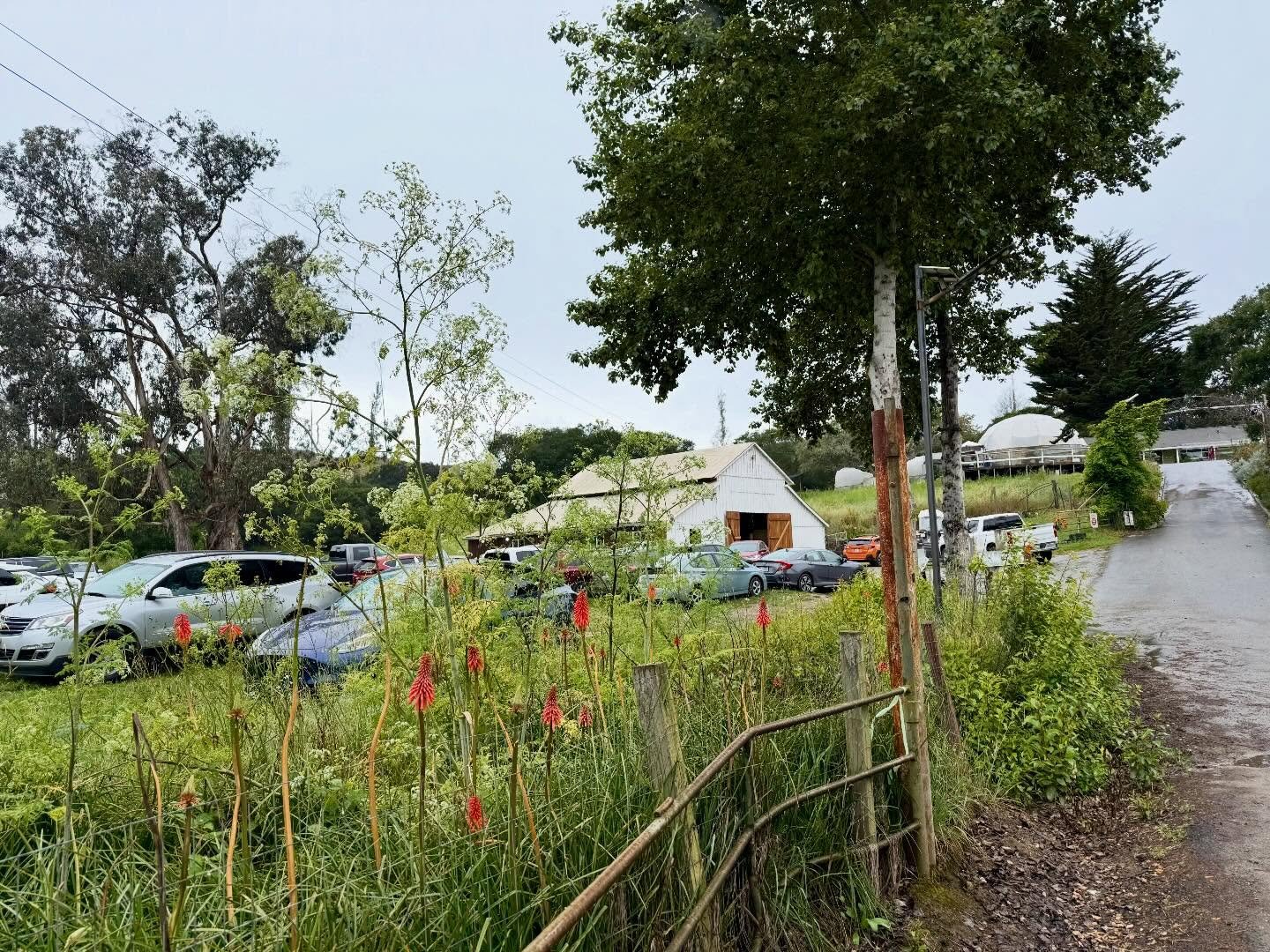 Beautiful day at the farm for Farm to Shelf. Thank you, amigos, for coming out. And thank you @eco.farm and @rodaleinstitute for all of the hard work!