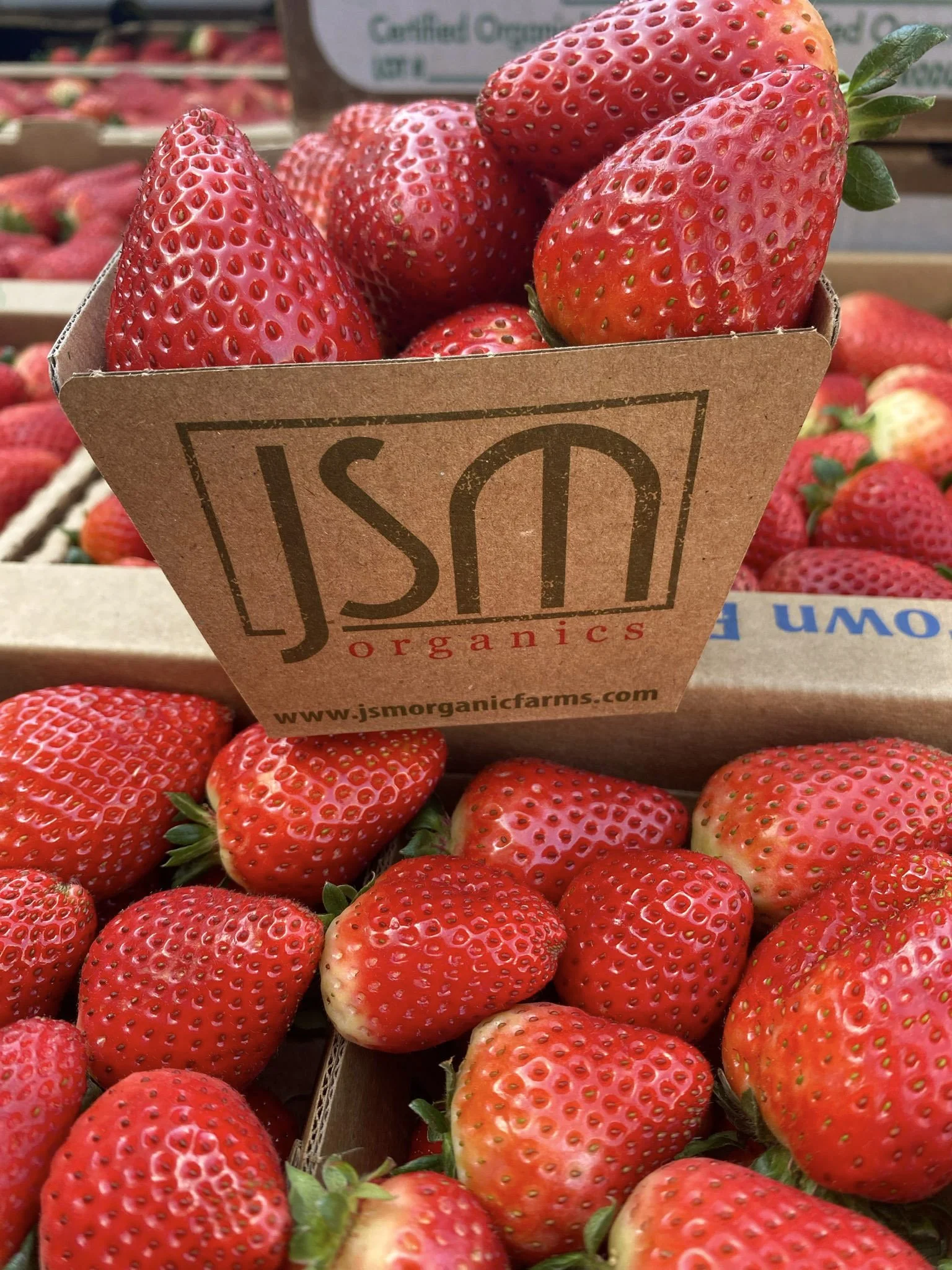 A cardboard container with the JSM Organics logo filled with fresh, ripe strawberries at a grocery store.